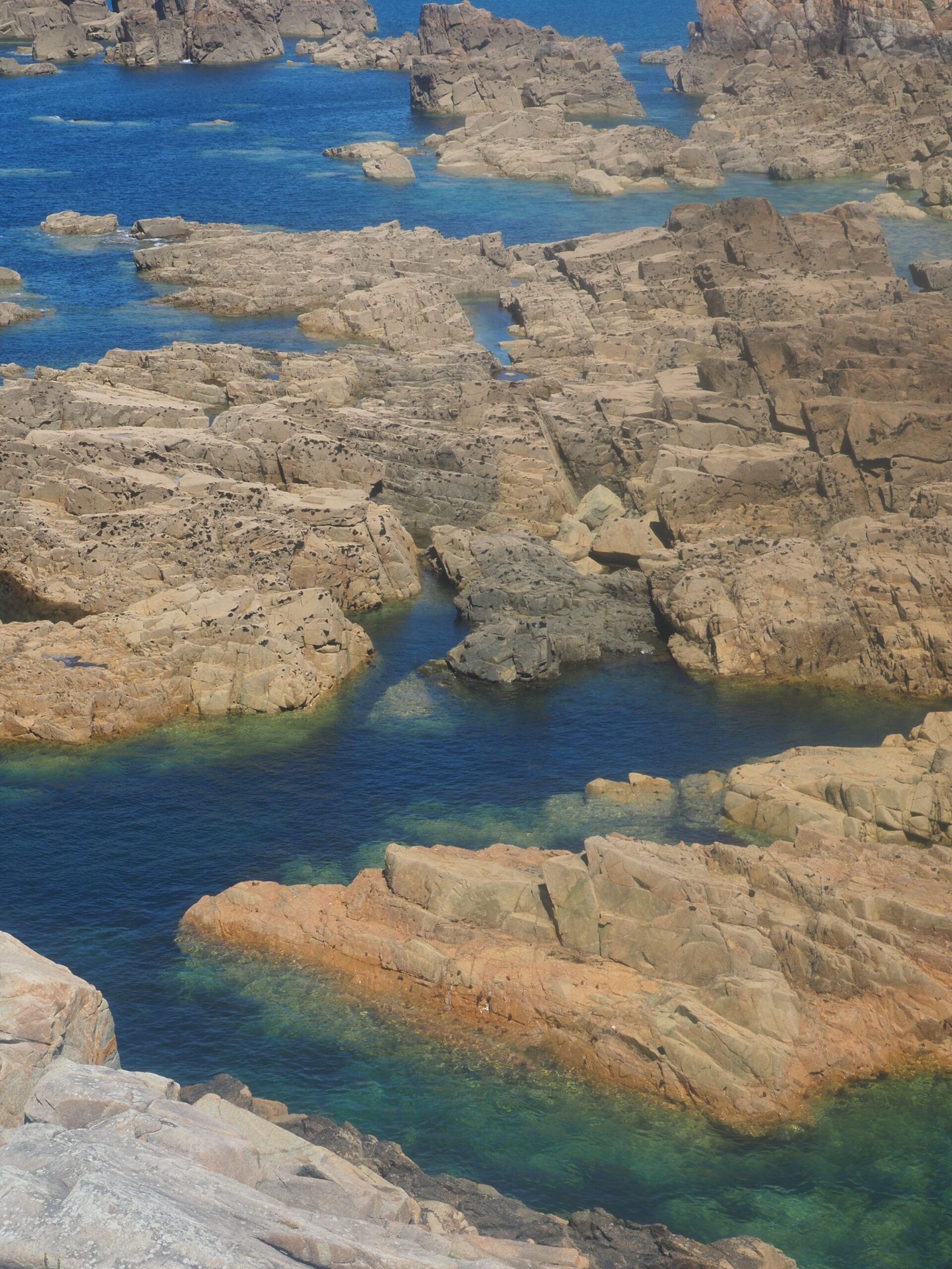 Protégé : Le jardin des druides , à vélo